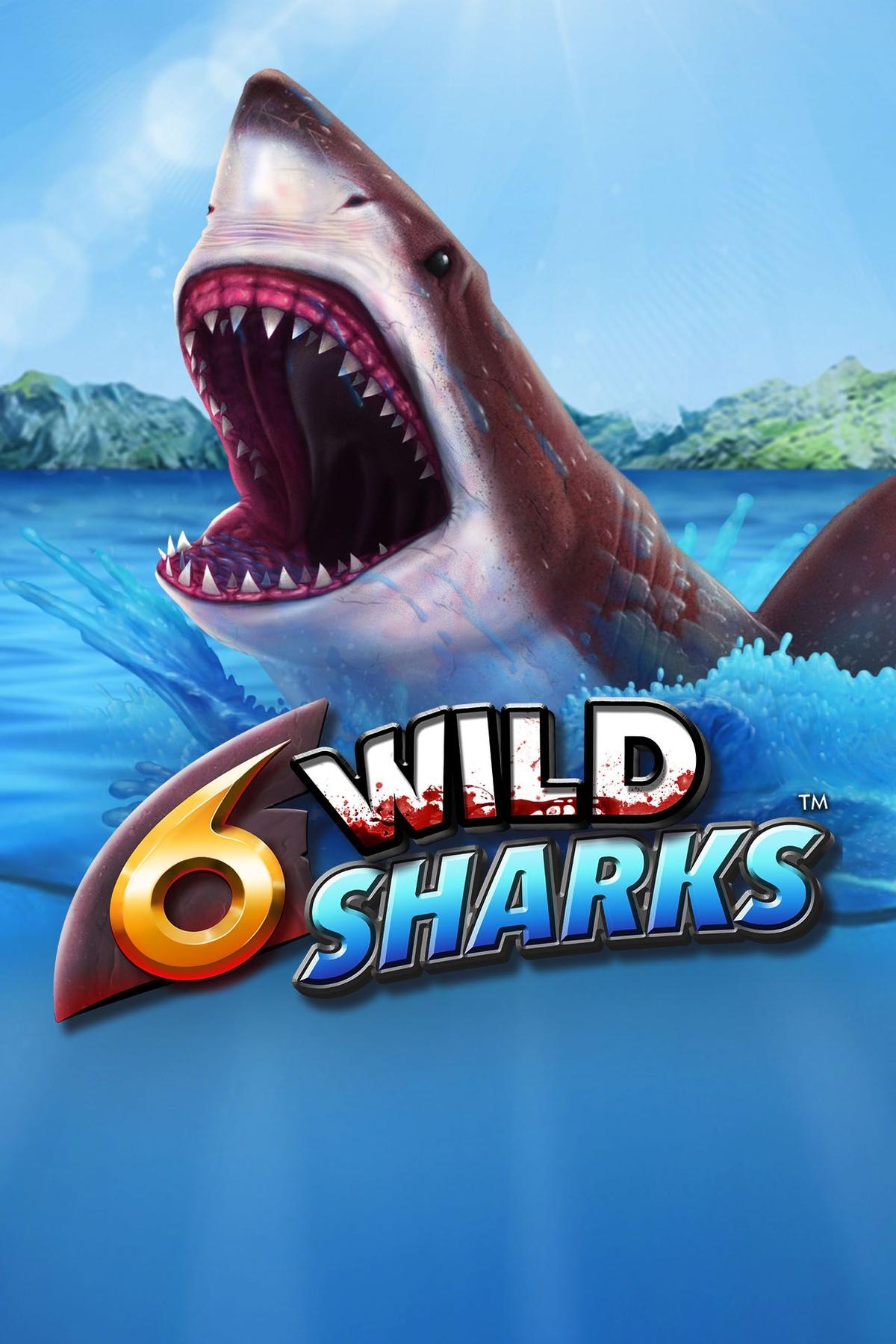 6 Wild Sharks