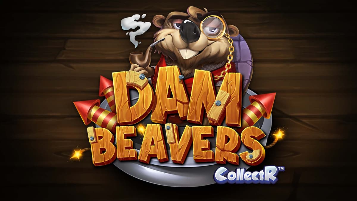Dam Beavers