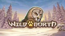 Wild North slot går att spela hos Speedy Casino